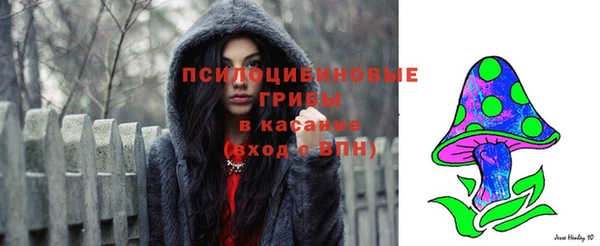 тгк Нея