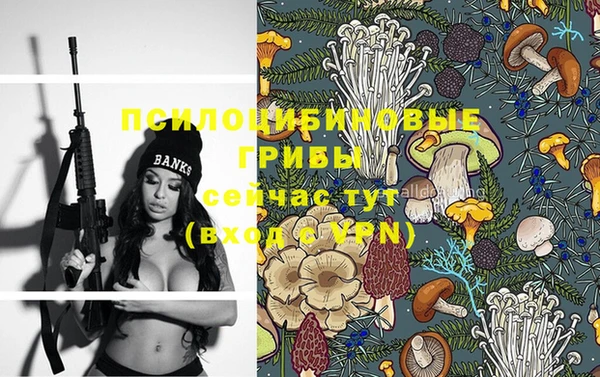 стафф Нефтекумск