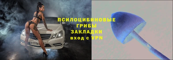 стафф Нефтекумск