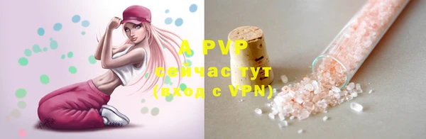 стафф Нефтекумск