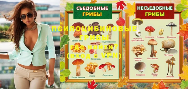 дурь Новодвинск
