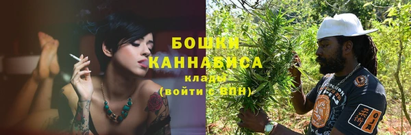 тгк Нея