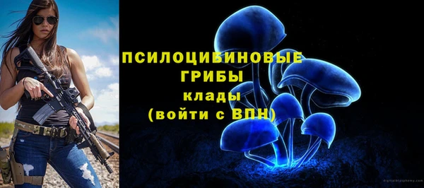 2c-b Новокубанск