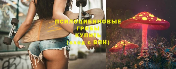 дмт Нефтегорск