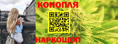 jwh Новокубанск