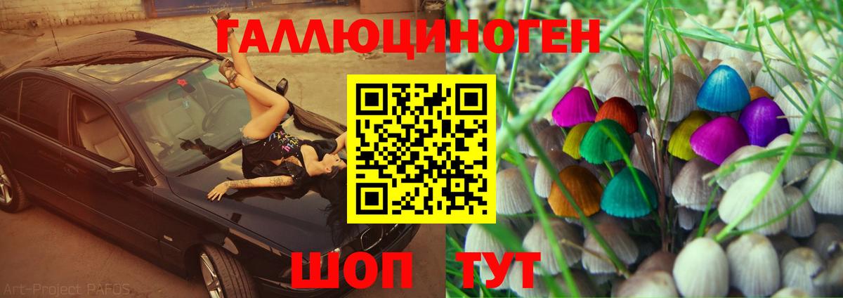 Псилоцибиновые грибы Psilocybe  Вход с VPN  Троицк 